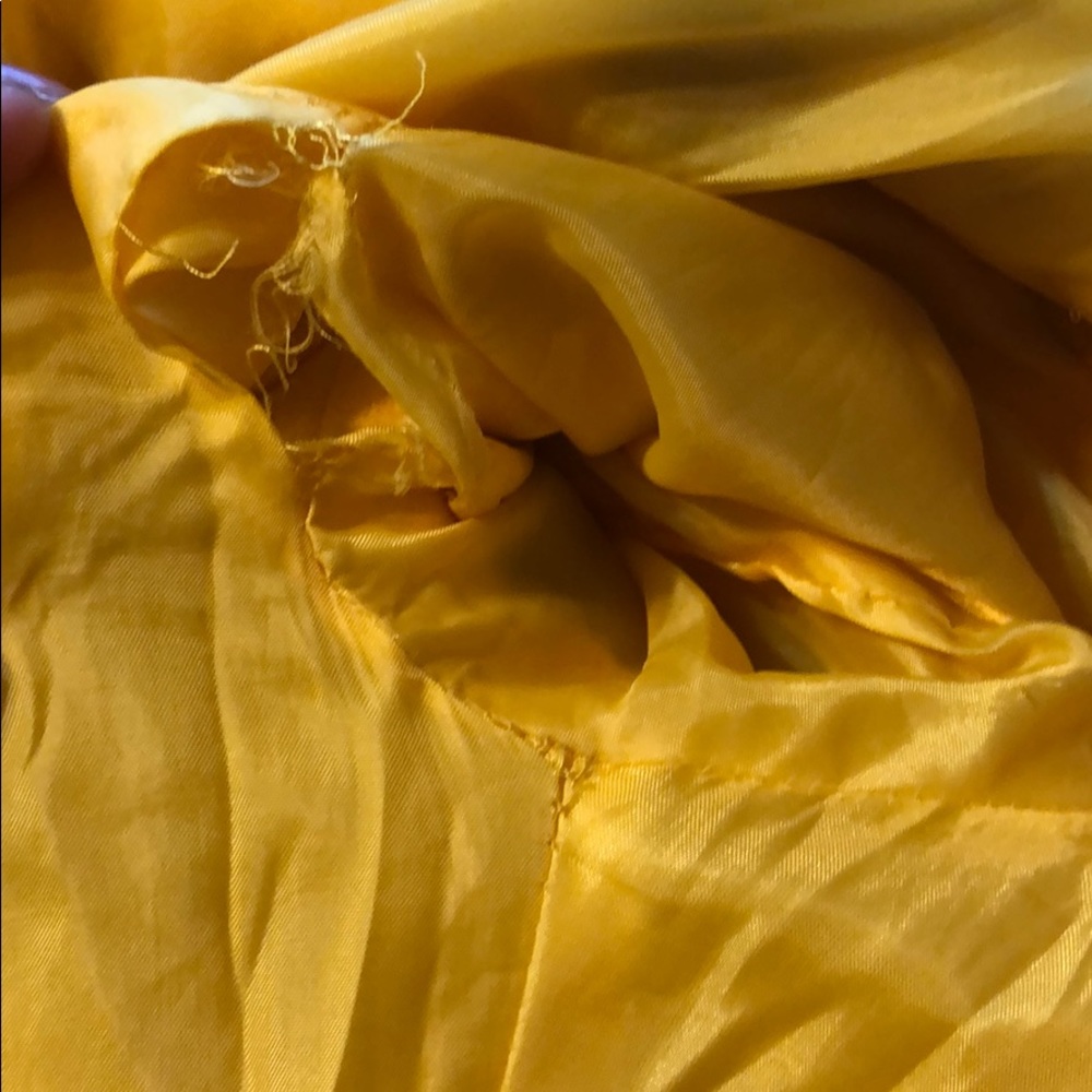 Yellow Jacket - Picture 4 of 4